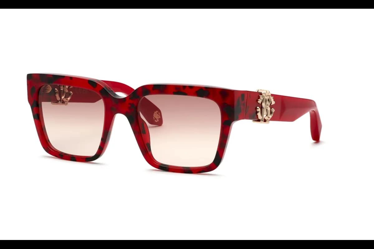 Roberto Cavalli  SRC040M (SRC040M-07MT_54)