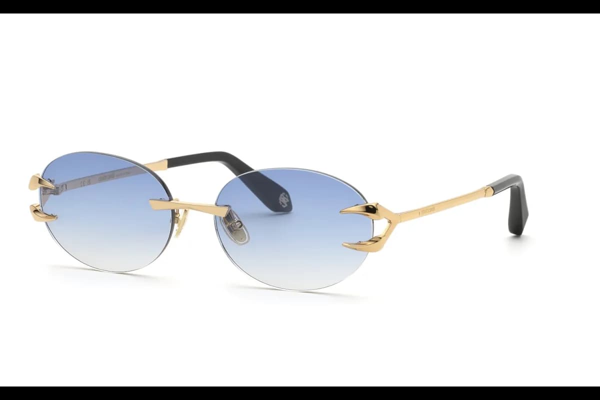 Roberto Cavalli  SRC182 (SRC182-300B_59)