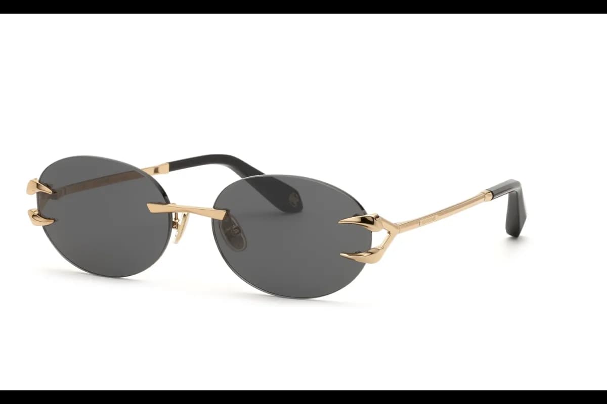 Roberto Cavalli  SRC182 (SRC182-300K_59)