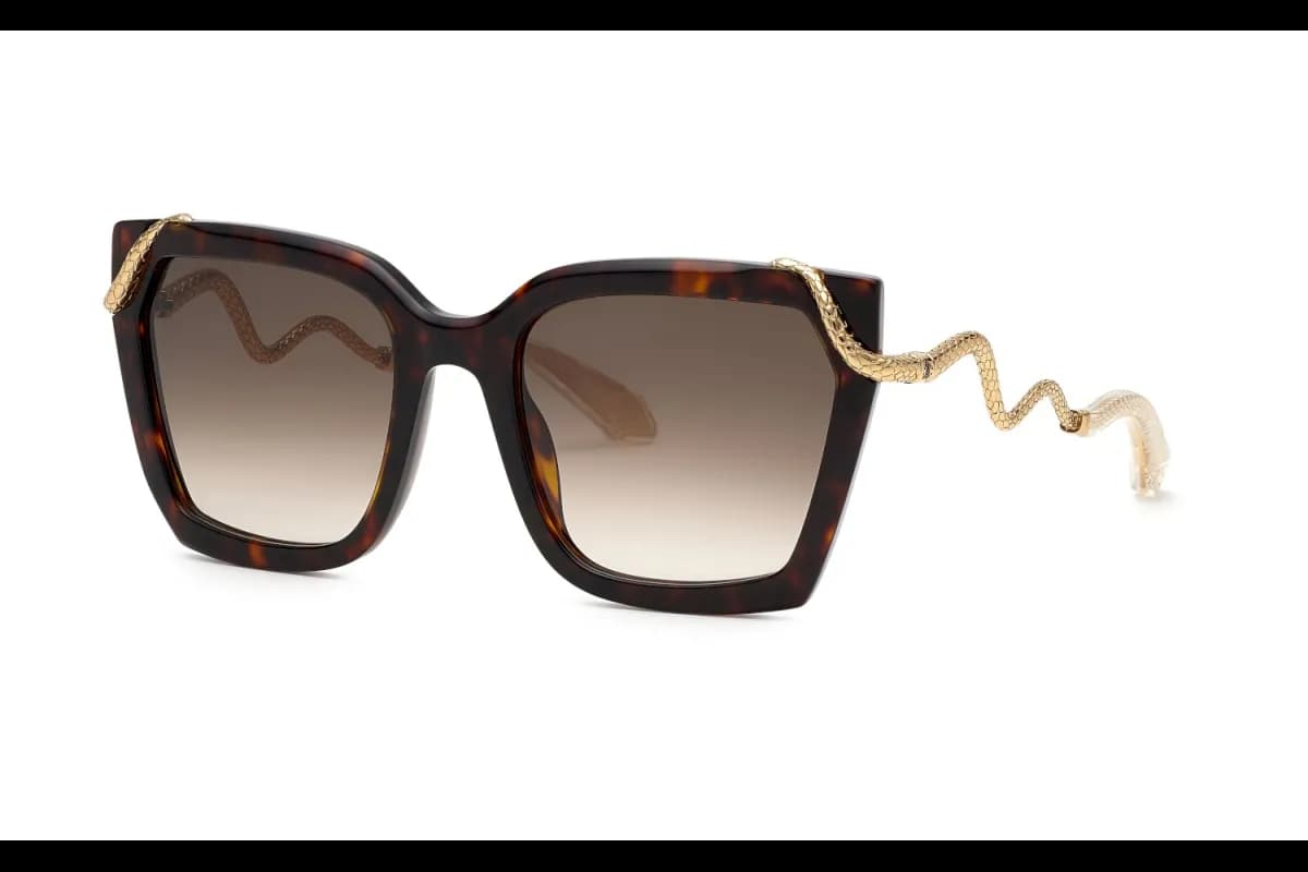 Roberto Cavalli  SRC034M (SRC034M-0743_56)
