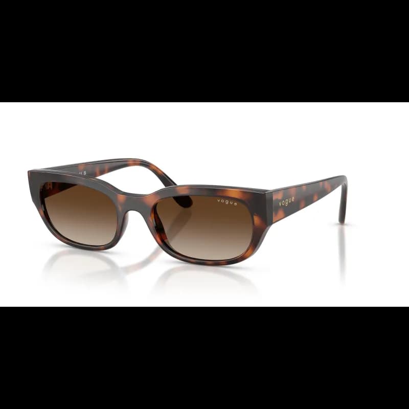 Vogue Eyewear  VO5669S