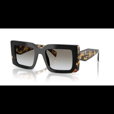 Prada  PR D01S