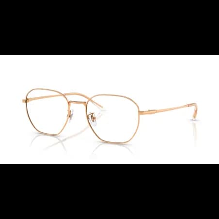 Ray-Ban  RX8777D