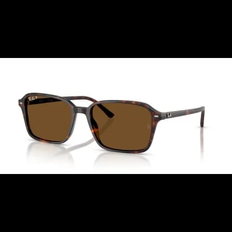 Ray-Ban RAIMOND RB2231