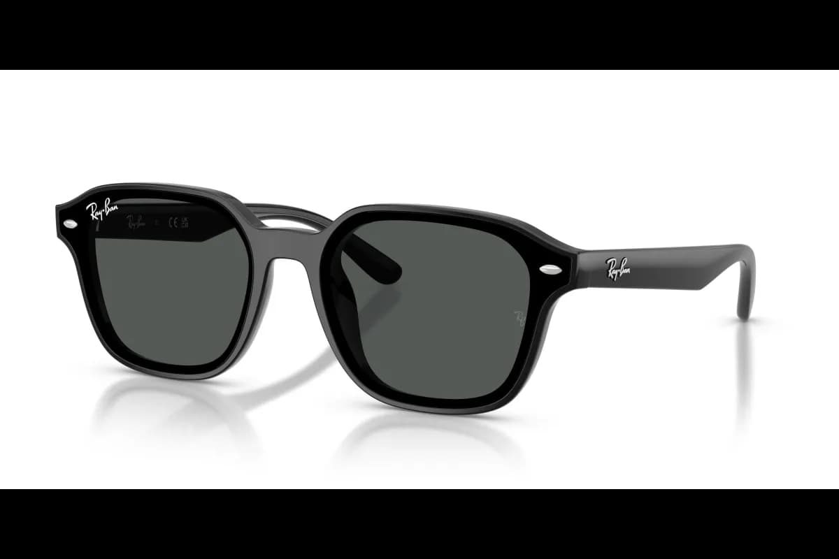 Ray-Ban  RB4458D (RB4458D-601/87_65)