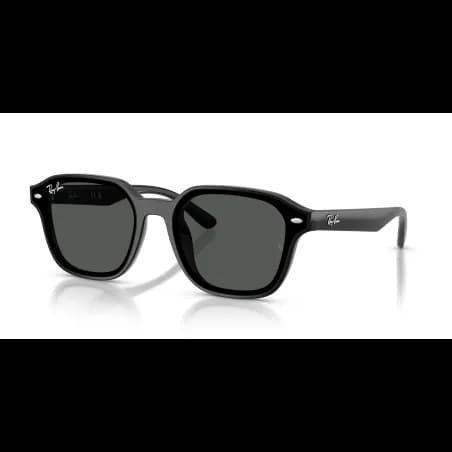 Ray-Ban  RB4458D