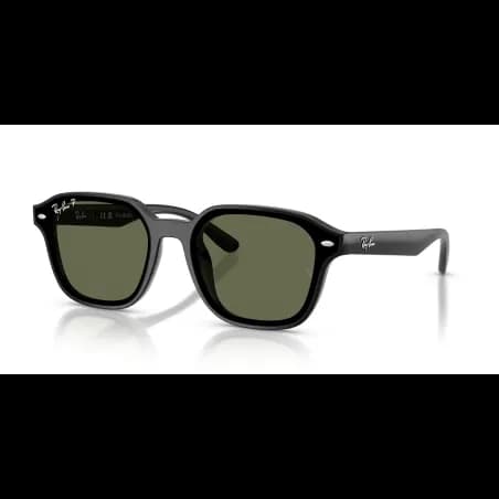 Ray-Ban  RB4458D
