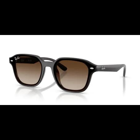 Ray-Ban  RB4458D