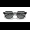 Ray-Ban  RB4458D - miniatura 5