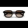 Ray-Ban  RB4458D - miniatura 5