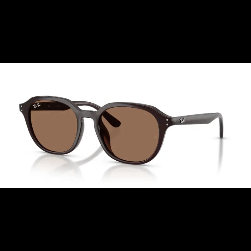 Ray-Ban  RB4459D