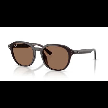 Ray-Ban  RB4459D