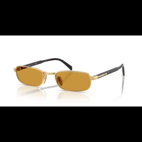 Prada  PR B54S