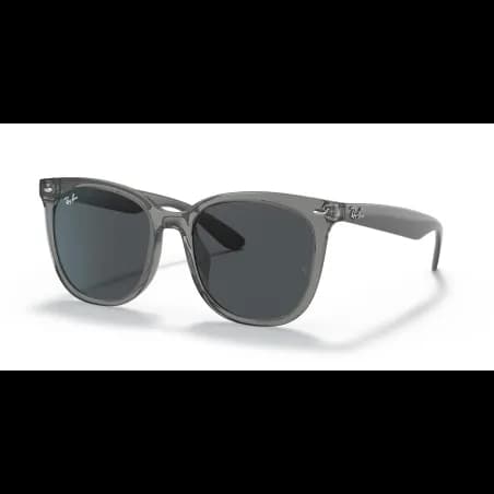 Ray-Ban  RB4379D