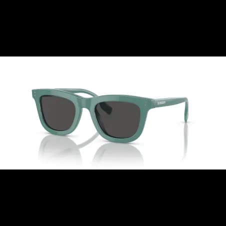 Burberry  JB4356