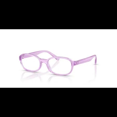Ray-Ban  RY1904