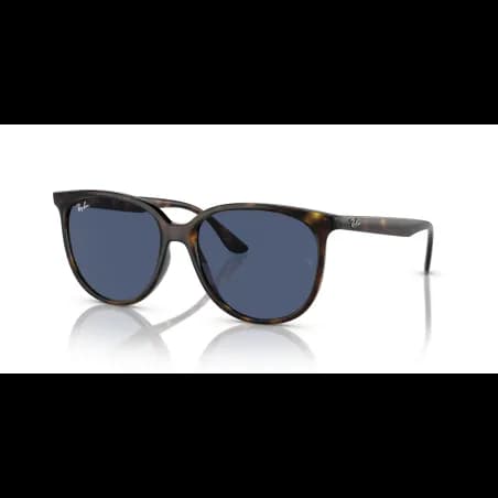Ray-Ban  RB4378