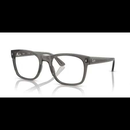 Ray-Ban  RX7228