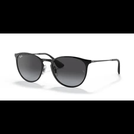 Ray-Ban ERIKA METAL RB3539