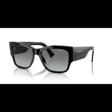 Vogue Eyewear  VO5462S