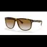 Ray-Ban BOYFRIEND RB4147 - miniatura 1