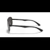 Ray-Ban CARBON FIBRE RB8313 - miniatura 2