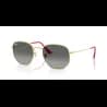 Ray-Ban HEXAGONAL RB3548N - miniatura 5