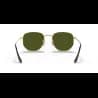 Ray-Ban HEXAGONAL RB3548N - miniatura 14