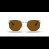 Ray-Ban HEXAGONAL RB3548N - miniatura 21