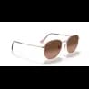 Ray-Ban HEXAGONAL RB3548N - miniatura 6