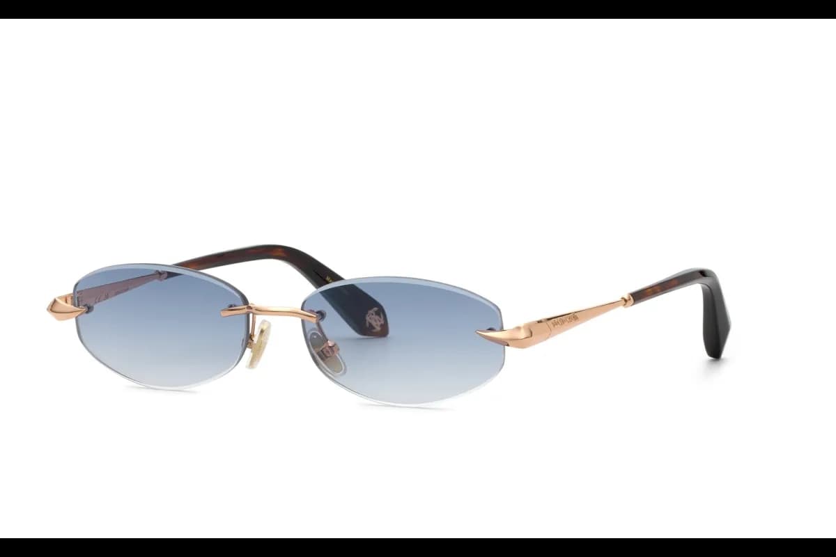 Roberto Cavalli  SRC207M (SRC207M-8FCB_55)