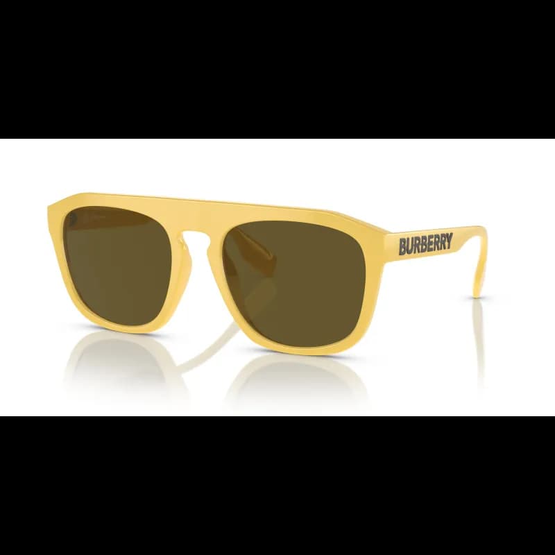 Burberry WREN BE4396U