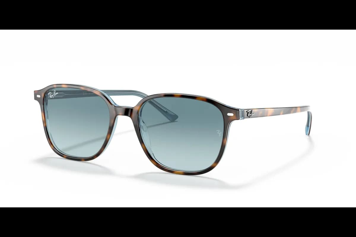 Ray-Ban LEONARD RB2193 (RB2193-13163M_53)