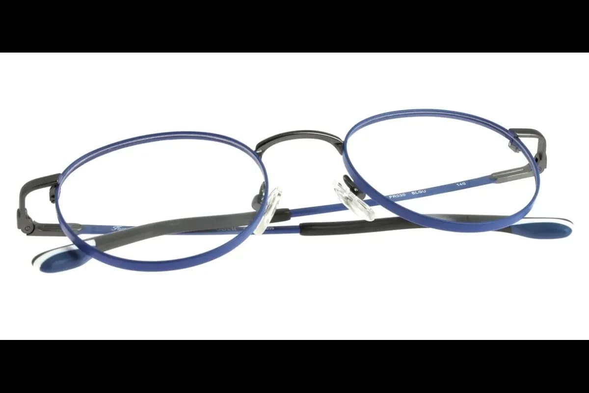 FR030 (0FR030-BLGU_49)