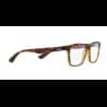 Ray-Ban  RX7025 - miniatura 14
