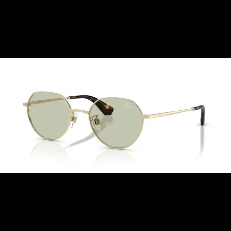 Burberry  BE3173D