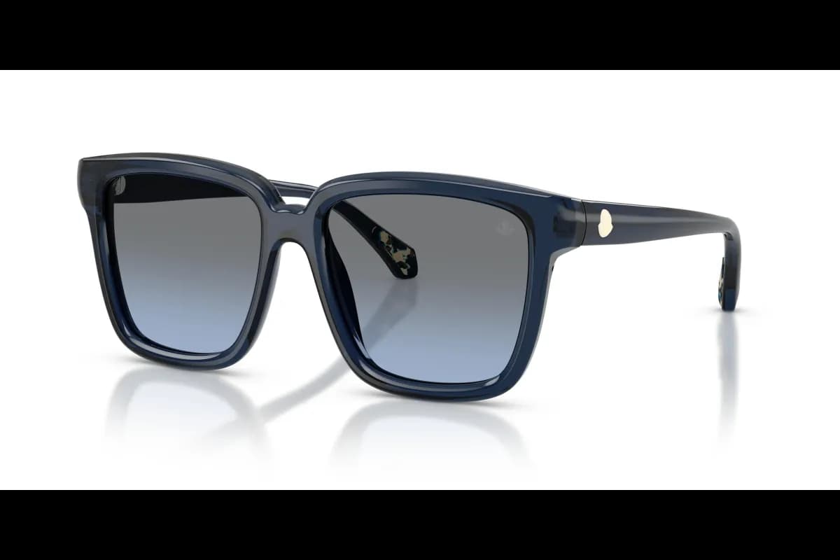 Moncler CLASICO ME6026 (ME6026-30478F_54)