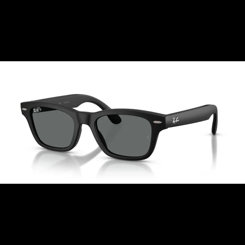 Ray-Ban Meta Audio Burbank