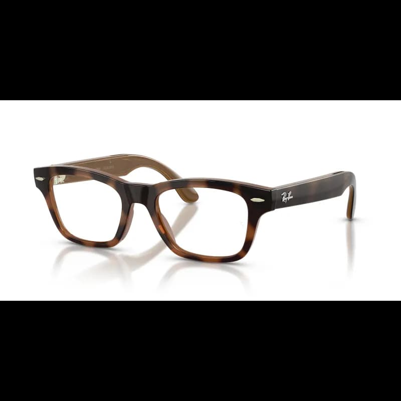 Ray-Ban Ray-Ban Meta Audio Burbank Optics RW7005V