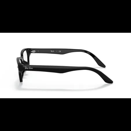 Ray-Ban  RX5344D - miniatura 2