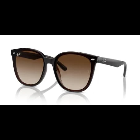 Ray-Ban  RB4423D - miniatura 1