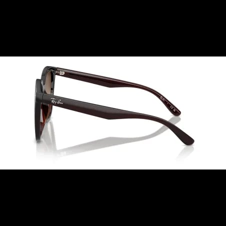 Ray-Ban  RB4423D - miniatura 2