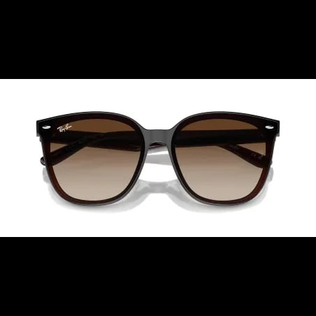 Ray-Ban  RB4423D - miniatura 5