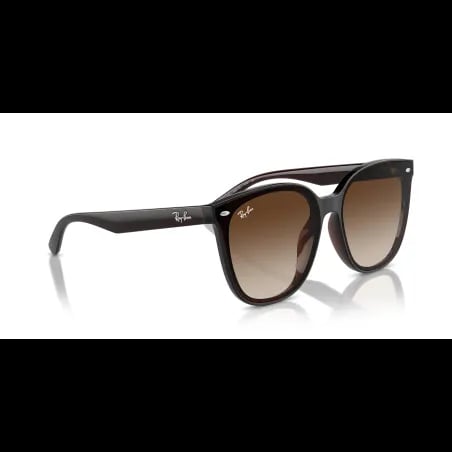 Ray-Ban  RB4423D - miniatura 6
