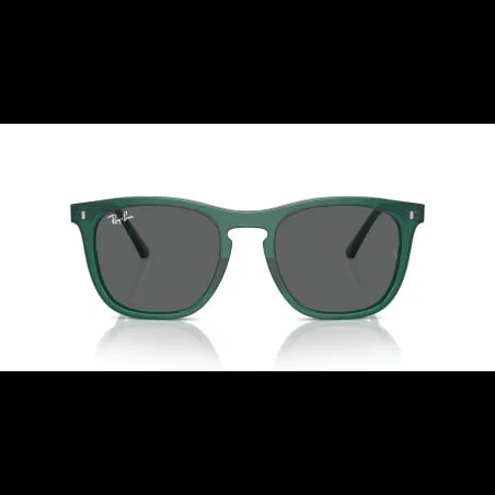 Ray-Ban  RB2210 - miniatura 4
