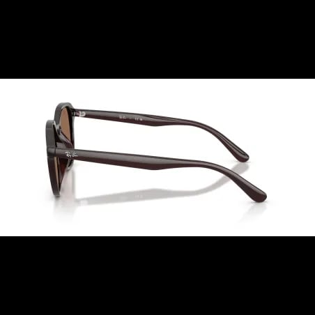 Ray-Ban  RB4459D - miniatura 2