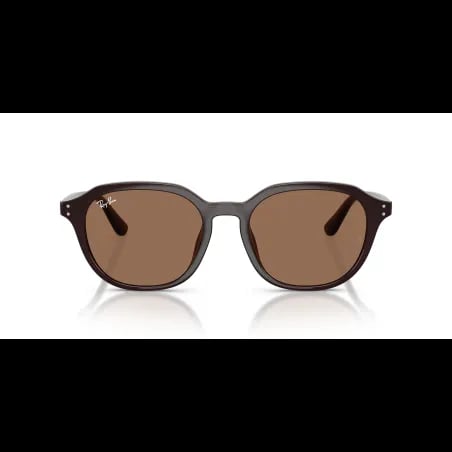 Ray-Ban  RB4459D - miniatura 4