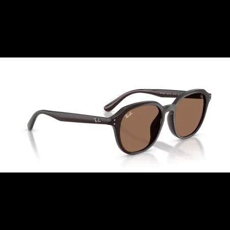 Ray-Ban  RB4459D - miniatura 6