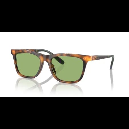 Polo Ralph Lauren  PH4205U - miniatura 1