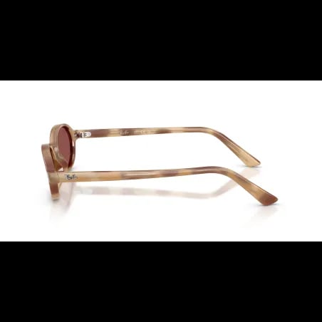 Ray-Ban  RB4472 - miniatura 2